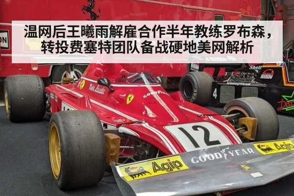 温网后王曦雨解雇合作半年教练罗布森，转投费塞特团队备战硬地美网解析