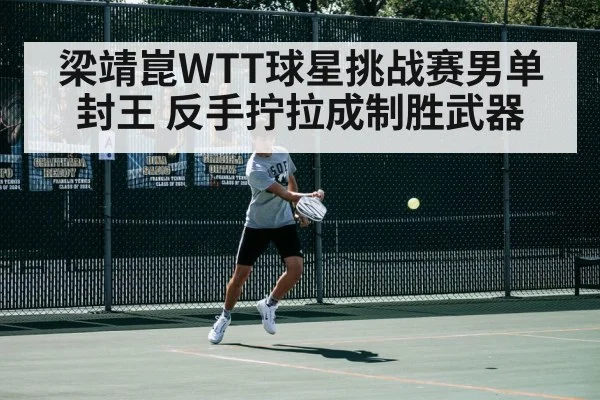 梁靖崑WTT球星挑战赛男单封王 反手拧拉成制胜武器