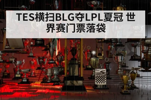 TES横扫BLG夺LPL夏冠 世界赛门票落袋
